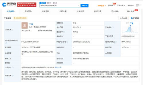 信息系統(tǒng)集成服務 數字化時代的核心驅動力