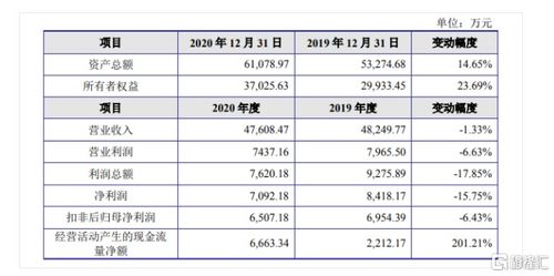 金智教育聚焦高等教育信息化，2020年營收達4.7億元，核心業(yè)務為信息系統(tǒng)集成服務